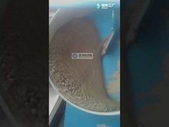 Powders Disk Granulator 40 Tons Per Hour Granulation Equipment