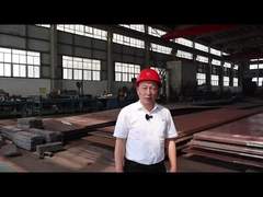 Caco3 Horyzontalny 300 ton dziennie Piec obrotowa kalcynacyjna